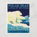 Search for polar bear postcards Illustration