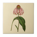 Search for echinacea tiles Pink