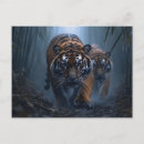 Search for big cat predators postcards Jungle