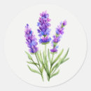Search for lavender garden stickers Purple