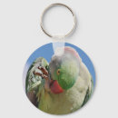 Search for parrot rounded key rings Parrots