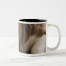 Search for three quarter length mugs Looking at camera