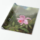 Search for hummingbird wrapping paper Butterfly