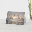 Search for mer cards Ranch
