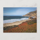 Search for eroding postcards Usa