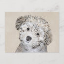 Search for bichons postcards Havanese