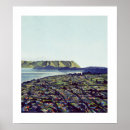 Search for auckland posters Maori