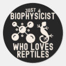Search for cellular stickers Molecular biology