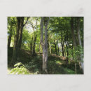 Search for sunnie postcards Trees