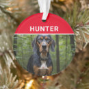 Search for coonhound christmas tree decorations Black and tan coonhound