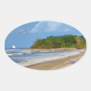 Search for beach bird stickers Animals