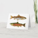 Search for fly fishing cards Salmon