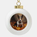 Search for pet rat christmas tree decorations Dog