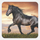 Search for black horse stickers Animal