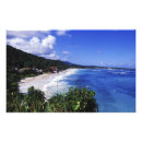Search for port antonio posters Greg johnston