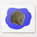 Search for bullfrog mousepads Frogs