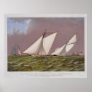 Search for americas cup posters Sailboat