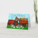 Search for funny for husband valentines day cards Squirrel