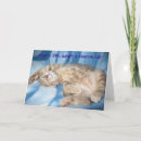 Search for charities cards Cat