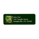 Search for path return address labels Trees