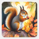 Search for nut with squirrel stickers Fall