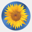 Search for royal blue floral stickers Rustic