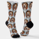 Search for grey socks Cute