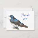 Search for swallow cards Animal