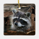 Search for cute racoon christmas tree decorations Raccoon