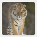 Search for captivity stickers Wildlife