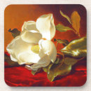 Search for martin coasters Martin johnson heade