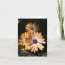 Search for contrast cards Petals