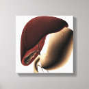 Search for bowel art Detail