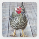 Search for travel around the world stickers Nature