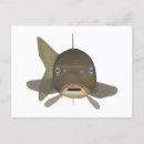 Search for fishes postcards Carp