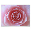 Search for dreamy posters Serene