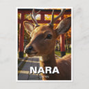 Search for nara postcards Temple