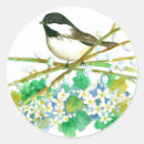 Search for black bird on branch stickers Black capped chickadee