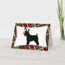 Search for wheaten terrier christmas cards Terriers