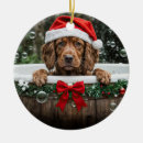 Search for irish christmas tree decorations Cute