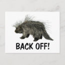Search for back off cards invites Attitude