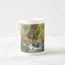 Search for state parks mugs Nature