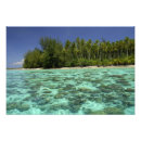 Search for french polynesia posters South pacific