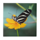 Search for butterfly tiles Colour