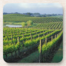 Search for grapevine coasters Vineyard