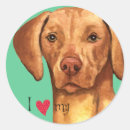 Search for vizsla stickers Hungarian pointer