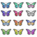 Search for colourful butterfly stickers Bug