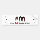 Search for boston terrier bumper stickers Terriers