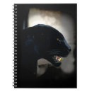 Search for panthers lover Jaguar