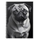 Search for pocket pet posters Pug
